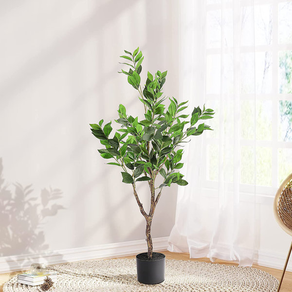 The Seasonal Aisle 120Cm Faux Laurel Tree in Cement Pot Wayfair.co.uk